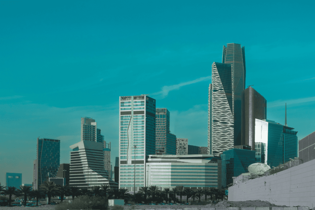 Saudi Arabia 2025 A Growing Hub for Business, Tech & Innovation